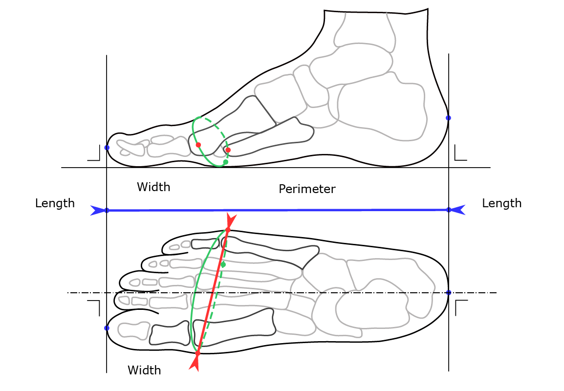 https://en.wikipedia.org/wiki/Shoe_size#/media/File:Foot_width_and_length_measurement_for_Mondopoint_(multilingual).svg